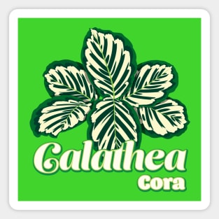 Calathea Cora Magnet